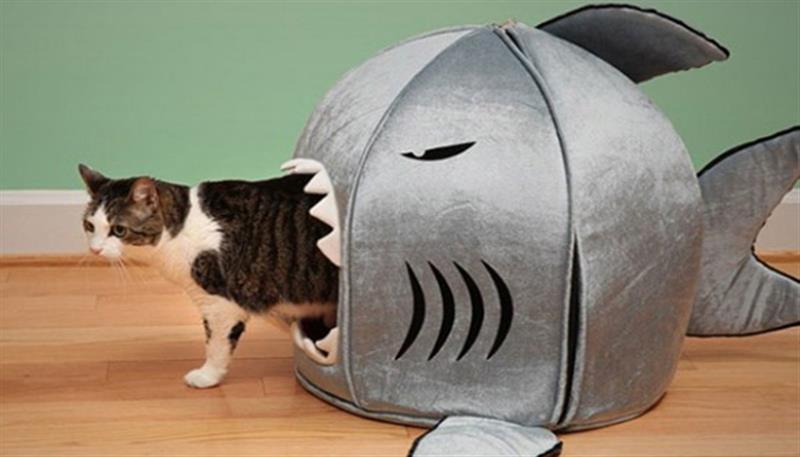 Una casetta per i tuoi animali Una casetta per i tuoi animali